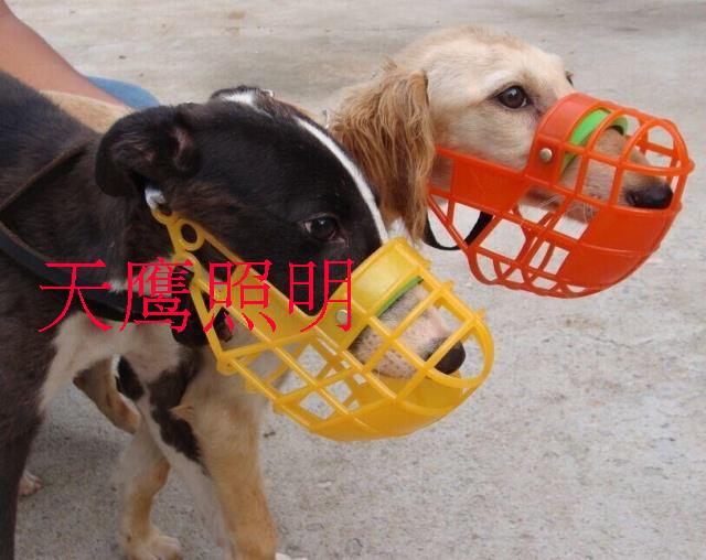 天鹰格力犬口笼狗口罩格慧口笼尼龙嘴套高档塑料防咬口罩惠比特笼