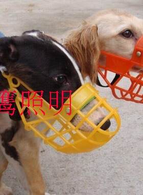 天鹰尼龙高档塑料惠比特格力犬