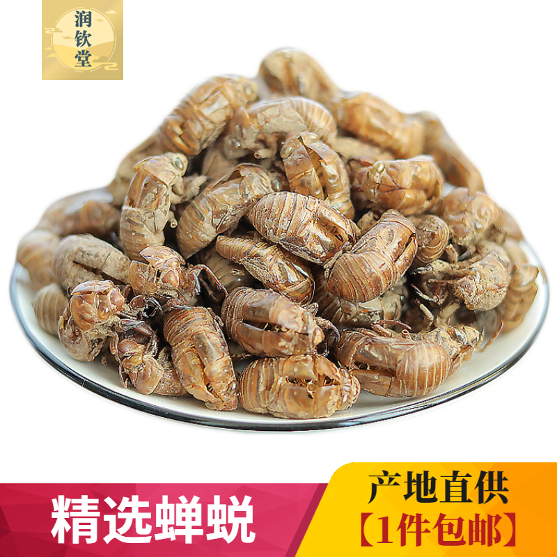中药材野生蝉蜕500g 精选蝉脱金蝉衣金蝉壳蝉皮蝉壳蝉衣 知了壳