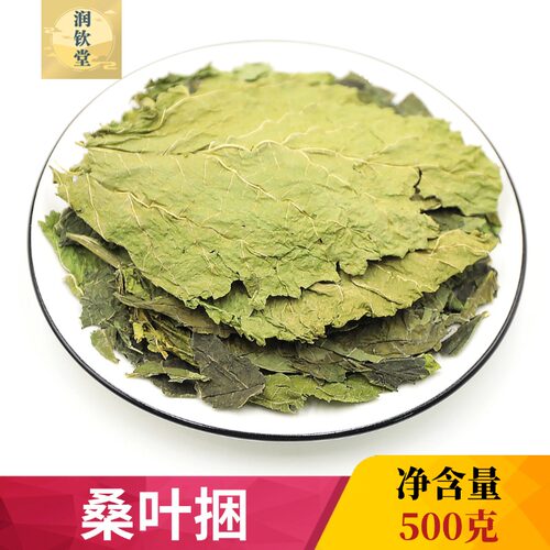桑叶500g克桑葚叶桑桑椹黄桑叶