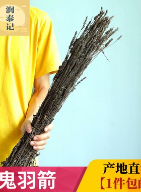 鬼羽箭新货无硫高含量干度好
