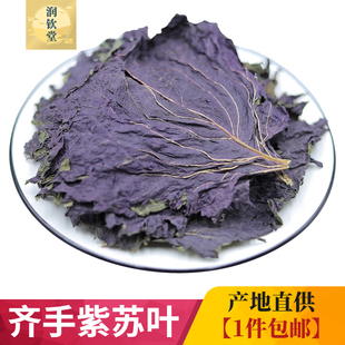 费 精选紫苏叶干货 免邮 齐手紫苏叶中药材500g 大叶紫苏干无硫可泡水