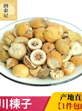 野生苦楝子野生新货无硫