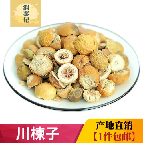 野生苦楝子野生新货无硫