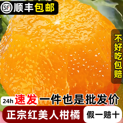 红美人爱媛28号果冻橙象山水果