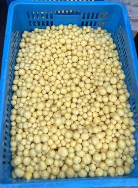 正宗浙江温岭珠珍小土豆新鲜迷你小土豆去皮台州特产特色小吃400g