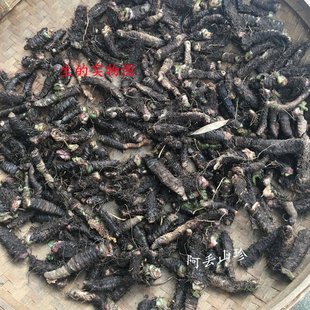 廣西金秀大瑤山傳統(tǒng)滋補品其他農(nóng)家土特產(chǎn)干貨紅螞蝗七石螃蟹1斤