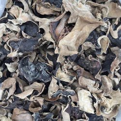广西金秀大瑶山传统滋补品农家土特产 白背黑木耳 250g 干货食材