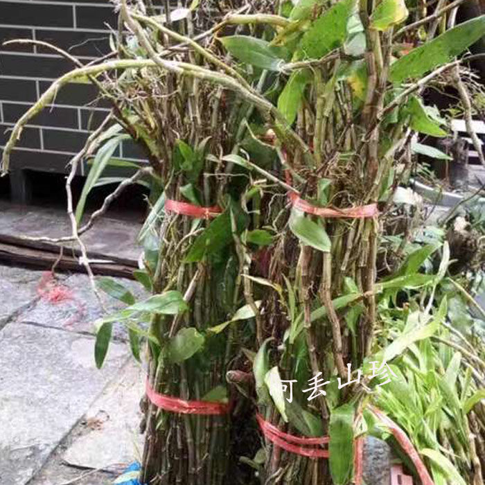 广西金秀大瑶山传统滋补品其他农家土特产鲜紫皮石斛250g6月花期