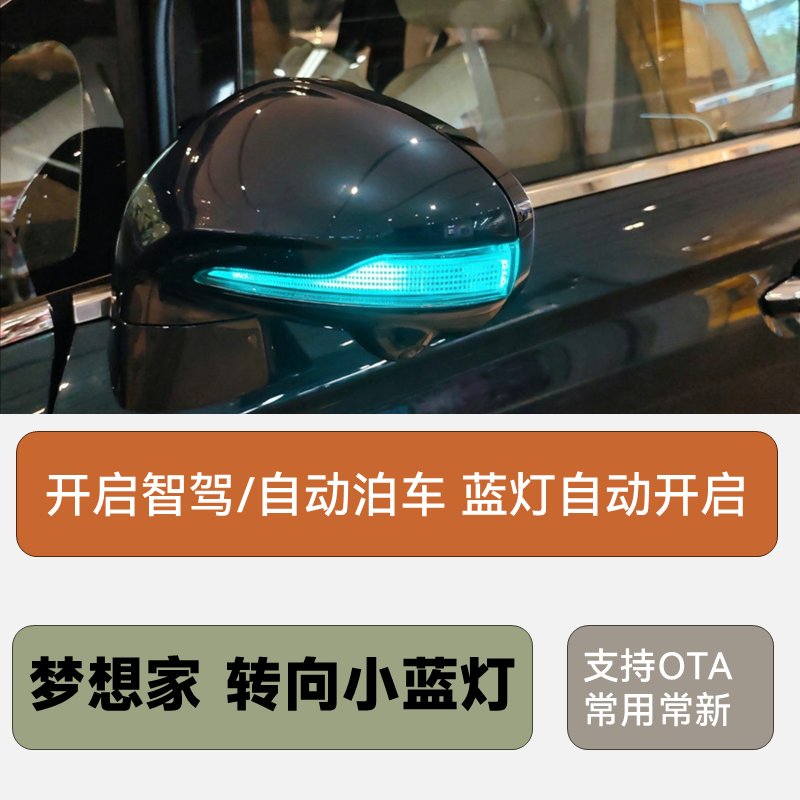 岚图梦想家后视镜转向小蓝灯自动驾驶转向指示灯尾灯LOGO小蓝灯