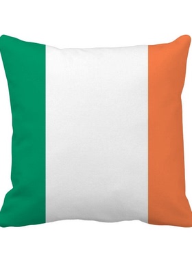 家象征符号图案方形抱枕靠枕沙发靠垫双面含芯礼物学校幼儿园装饰