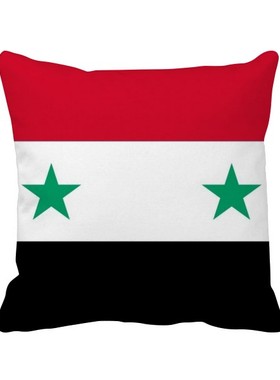 家象征符号图案方形抱枕靠枕沙发靠垫双面含芯礼物学校幼儿园装饰