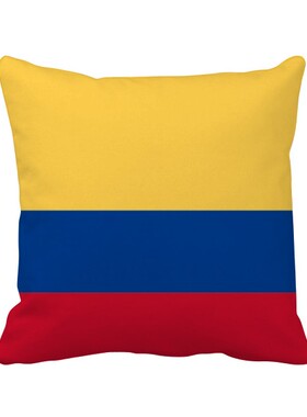 家象征符号图案方形抱枕靠枕沙发靠垫双面含芯礼物学校幼儿园装饰