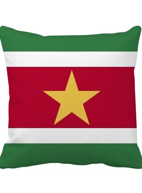 家象征符号图案方形抱枕靠枕沙发靠垫双面含芯礼物学校幼儿园装饰