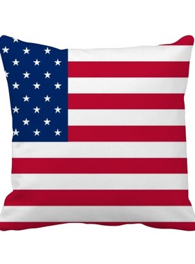 洲国家象征符号方形抱枕靠枕沙发靠垫双面含芯礼物学校幼儿园装饰