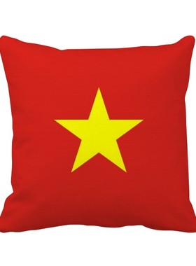 亚洲洲国家象征方形抱枕靠枕沙发靠垫双面含芯礼物学校幼儿园装饰