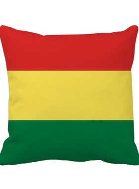 家象征符号图案方形抱枕靠枕沙发靠垫双面含芯礼物学校幼儿园装饰