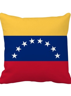 家象征符号图案方形抱枕靠枕沙发靠垫双面含芯礼物学校幼儿园装饰