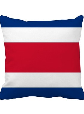 家象征符号图案方形抱枕靠枕沙发靠垫双面含芯礼物学校幼儿园装饰