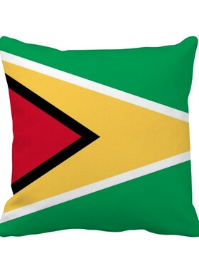 家象征符号图案方形抱枕靠枕沙发靠垫双面含芯礼物学校幼儿园装饰