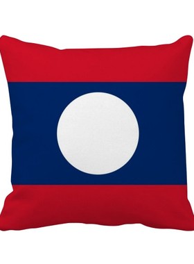 家象征符号图案方形抱枕靠枕沙发靠垫双面含芯礼物学校幼儿园装饰