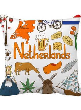 物国旗插画图案方形抱枕靠枕沙发靠垫双面含芯礼物学校幼儿园装饰