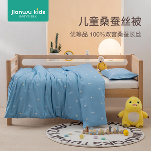 a类儿童被子加厚蚕丝被桑蚕丝被宝宝幼儿园专用被子被套四季通用