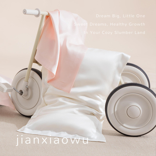 a类儿童真丝枕套蚕丝枕芯宝宝幼儿园睡觉专用1到6岁以上四季通用