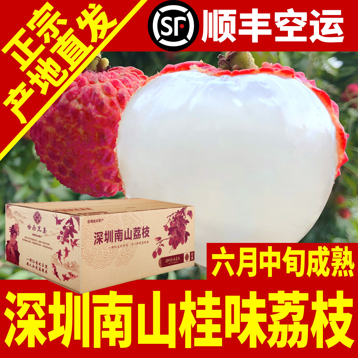 深圳南山桂味荔枝当季新鲜老树水果5斤礼盒广东农家兄弟顺丰空运