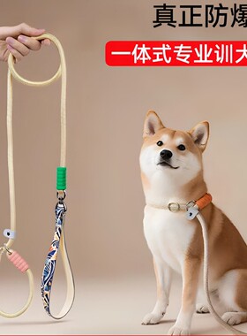 防爆冲狗绳p绳不勒手跨境狗狗遛狗绳厂家宠物p链小中大型犬牵引绳