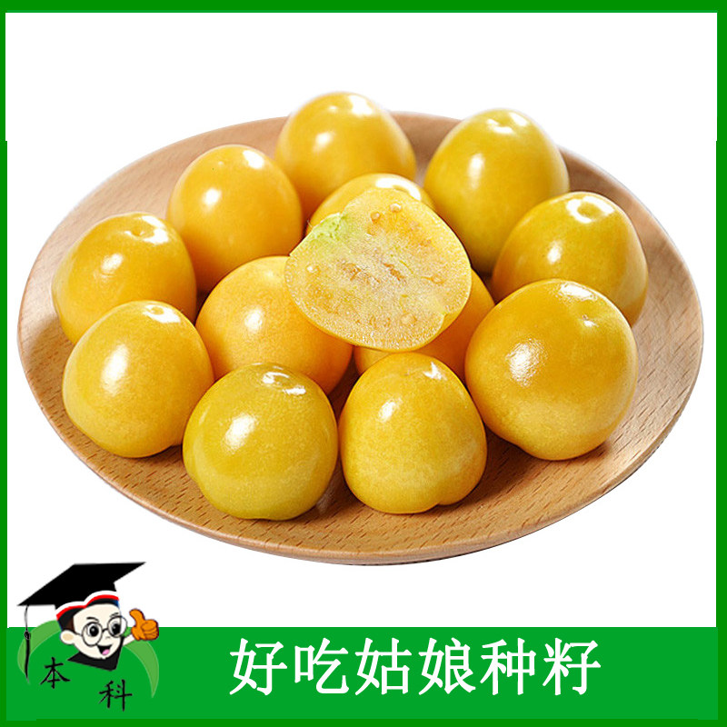 蔬菜水果种籽 黄姑娘黄菇娘种子含羞果种子籽香甜春季瓜果种孑