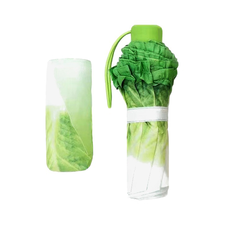 折叠伞生菜伞晴雨两用网红款