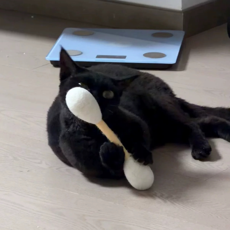 我们家10只猫都玩疯了:羊毛毡棉签 猫玩具 网红 16cm 棒为原木色