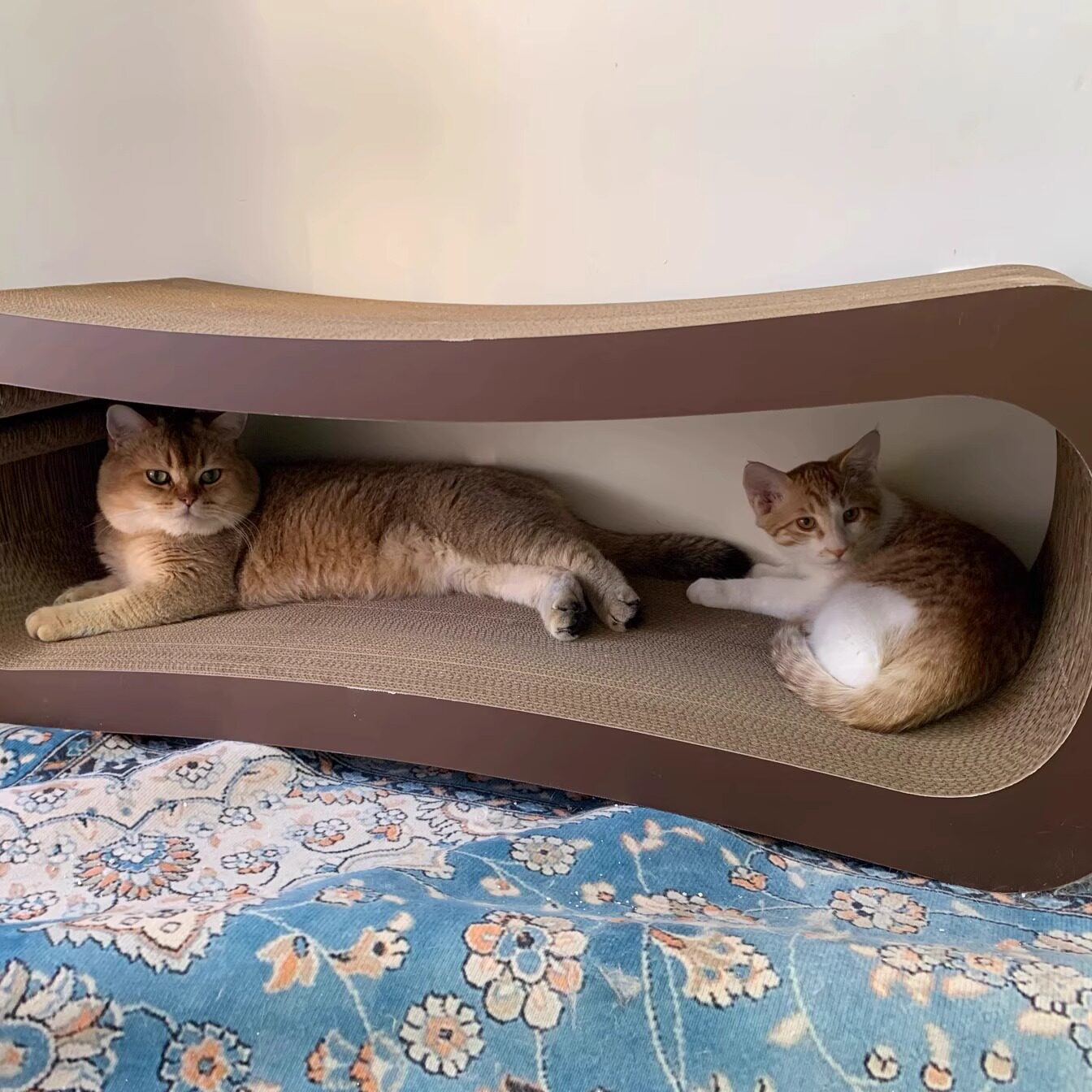 咖啡猫 猫抓板 模切bb楞 长99cm长 重6.6kg 可承重150斤 顺丰发货