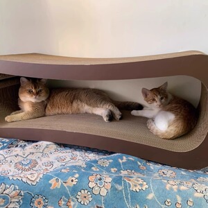 咖啡猫 猫抓板 模切bb楞 长99cm长 重6.6kg 可承重150斤 顺丰发货