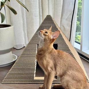 正版:尾巴的星球 法老的金字塔 猫窝猫抓板 58*58*40cm 12斤猫