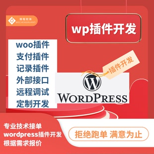 wordpress插件开发接定制woo插件支付插件记录插件外部接口wp插件