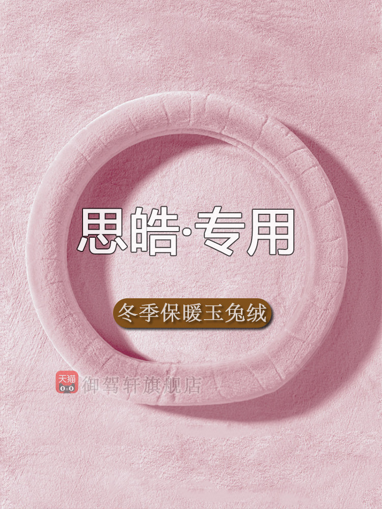 大众思皓e10x花仙子a5qxx8把套