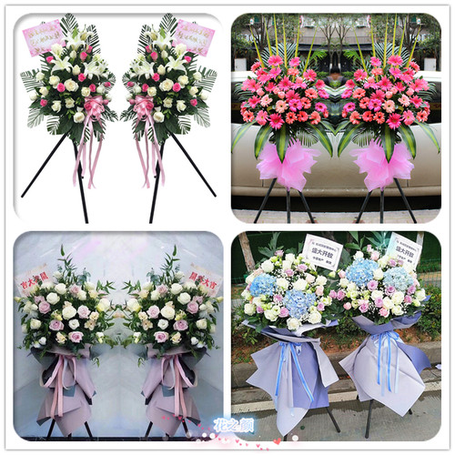 南阳花店价格 南阳花店图片 星期三