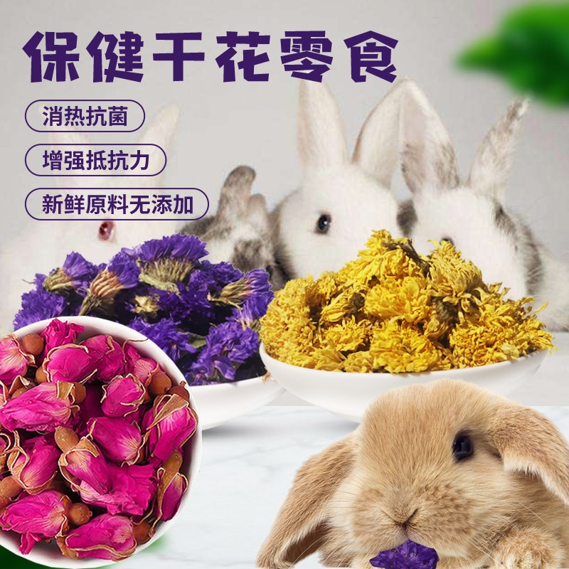 兔子仓鼠龙猫荷兰猪清热解毒零食天然菊花干玫瑰干宠物除臭零食