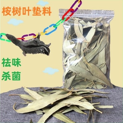 蜜袋鼯桉树叶垫材窝垫