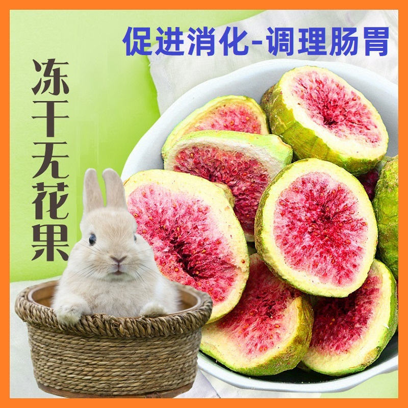 兔子龙猫仓鼠荷兰猪零食无花果干