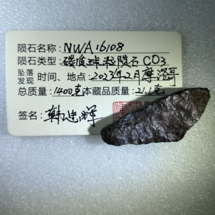 碳质球粒陨石 co3 NWA16108 尾切标本 21.1克 黄色CAI 橄榄碎块