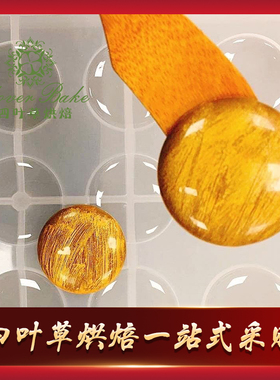 比利时Chocolate World 21连扁圆型巧克力模 CW1847巧克力世界