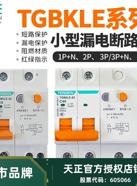 天正TGBKLE空气开关带漏电保护器2P63A家用空调漏保32a断路器