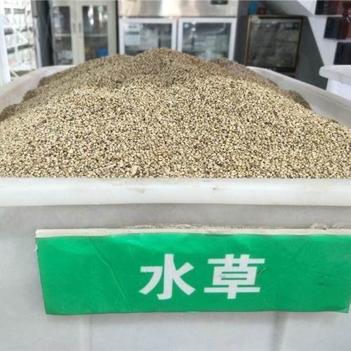 鱼塘水草种子水花生伊乐