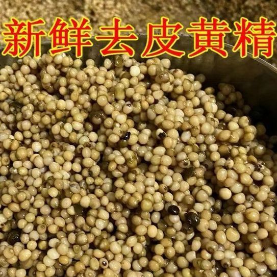 药材种子姜型多花黄精种籽高杆不倒苗黄精种子鸡头黄精图片