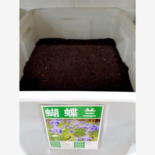 蝴蝶兰种子林木种籽国产散装四季多年生景观蓝花鸢尾观叶种孑