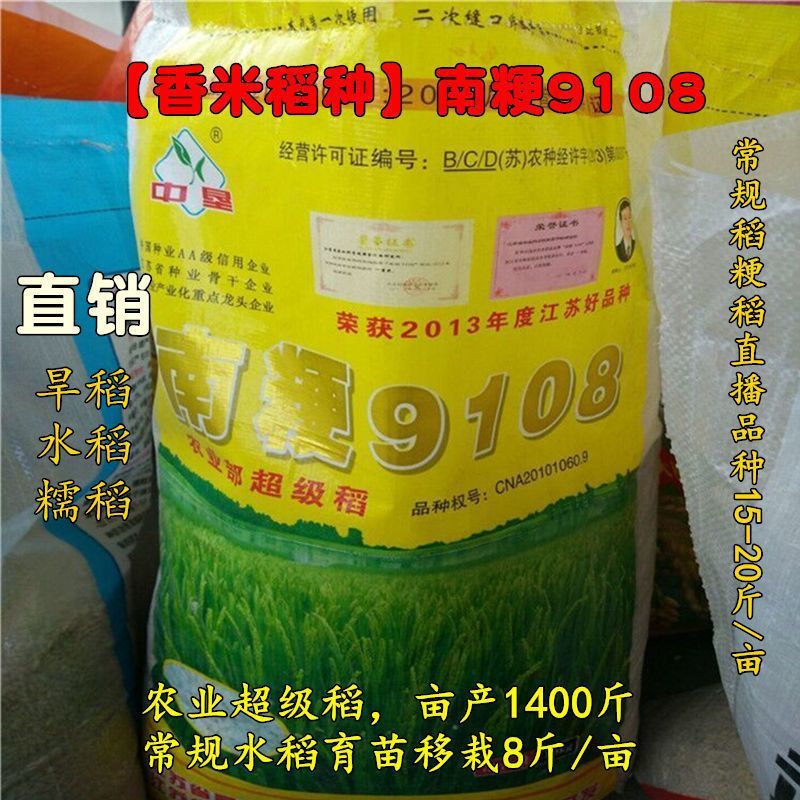 水稻种子南粳9108高产圆粒水稻谷香米种子品种亩产高达1600斤