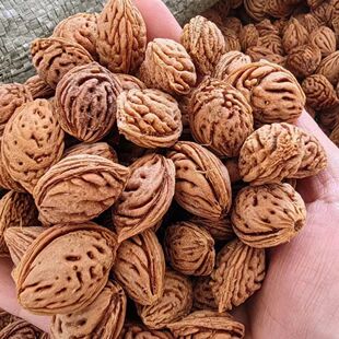 桃核原籽正宗野生毛桃核种子桃树种子桃胡种子文玩核桃散装